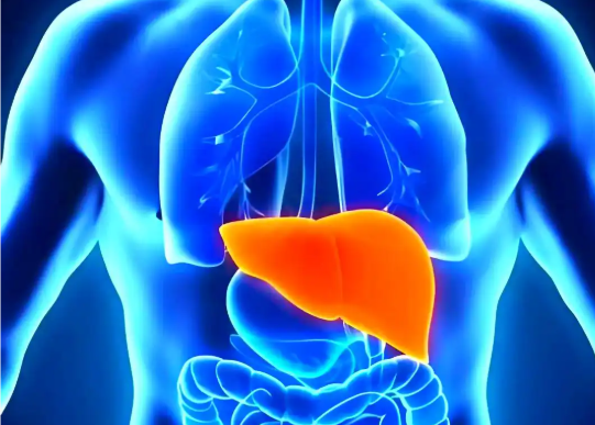 5-amino-1mq Metabolic Disease | Shaanxi BLOOM Tech Co., Ltd 5-amino-1mq Metabolic Disease | Shaanxi BLOOM Tech Co., Ltd