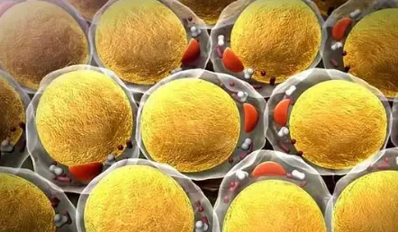 Bioglutide cost | Shaanxi BLOOM Tech Co., Ltd Bioglutide cost | Shaanxi BLOOM Tech Co., Ltd
