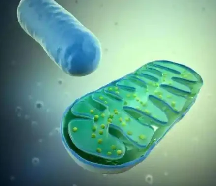 Bioglutide purchase | Shaanxi BLOOM Tech Co., Ltd Bioglutide purchase | Shaanxi BLOOM Tech Co., Ltd