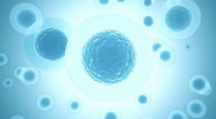 Bioglutide coordinated way | Shaanxi BLOOM Tech Co., Ltd Bioglutide coordinated way | Shaanxi BLOOM Tech Co., Ltd