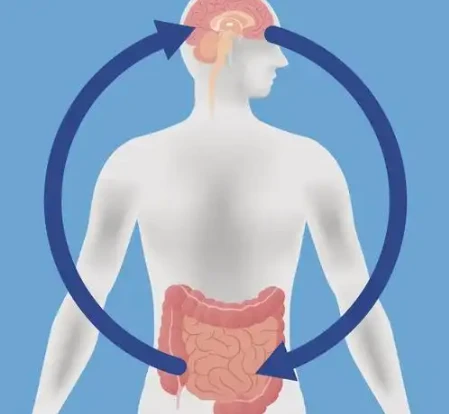 Bioglutide Gut-Brain Axis Modulation | Shaanxi BLOOM Tech Co., Ltd Bioglutide Gut-Brain Axis Modulation | Shaanxi BLOOM Tech Co., Ltd