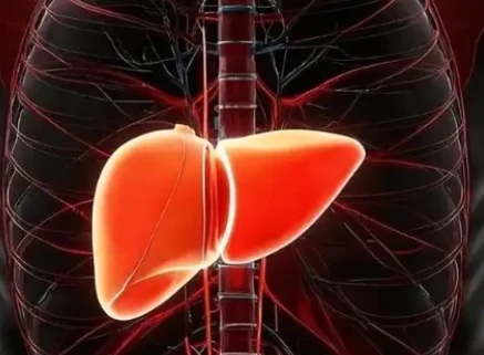 Bioglutide Hepatic Steatosis Reduction | Shaanxi BLOOM Tech Co., Ltd Bioglutide Hepatic Steatosis Reduction | Shaanxi BLOOM Tech Co., Ltd