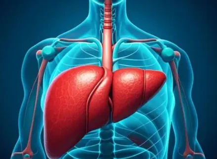 Bioglutide Long-Term Metabolic Trajectory Modification | Shaanxi BLOOM Tech Co., Ltd Bioglutide Long-Term Metabolic Trajectory Modification | Shaanxi BLOOM Tech Co., Ltd