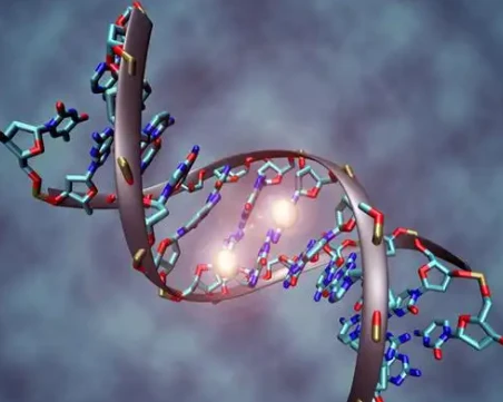 N(4)-hydroxycytidine genome | Shaanxi BLOOM Tech Co., Ltd N(4)-hydroxycytidine genome | Shaanxi BLOOM Tech Co., Ltd